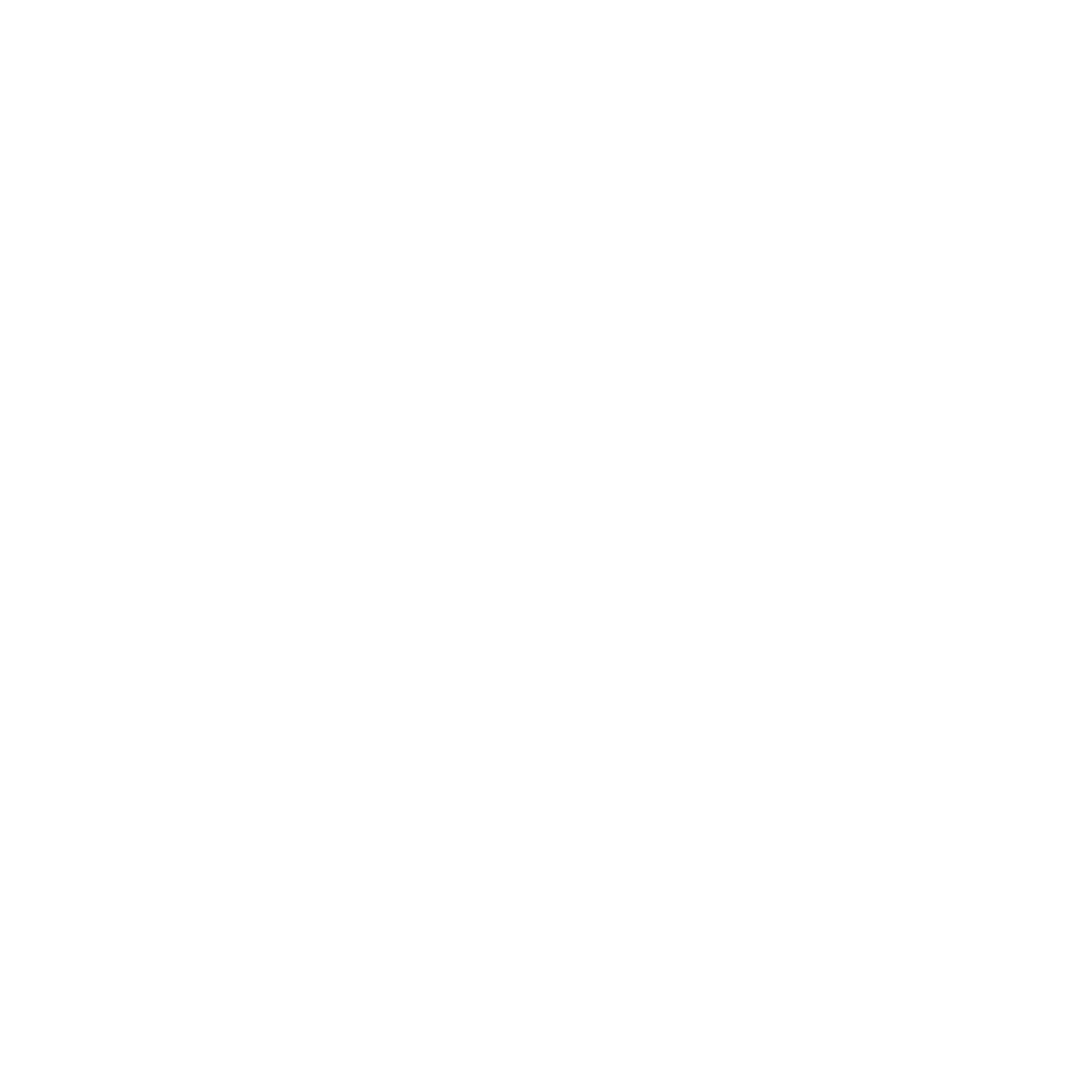Webfox Digital Agency Logo-Icon